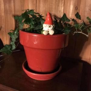 Meet your Posher, Kitty